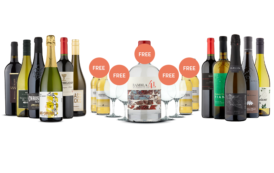 Lavish 11 Bottle Bundle plus free craft Gin, luxury Gin glasses and