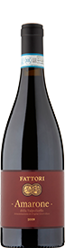 Amarone della Valpolicella DOC 2009