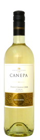 Canepa Reserva Privada Pinot Grigio 2008