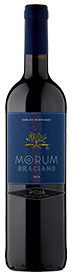 Carlos Rodriguez Morum Rioja Graciano 2015